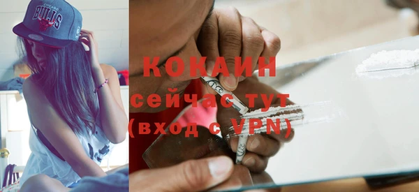стаф Бронницы