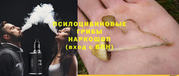 стаф Бронницы