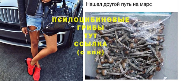 стаф Бронницы