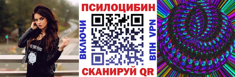 Псилоцибиновые грибы Cubensis  blacksprut ссылка  Торопец  как найти наркотики 